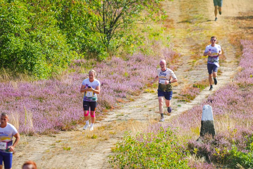 Galeria zdjęć - I Wrzos.RUN 2026 - 29.08.2026 r.  370