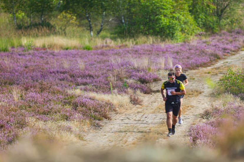 Galeria zdjęć - I Wrzos.RUN 2026 - 29.08.2026 r.  293
