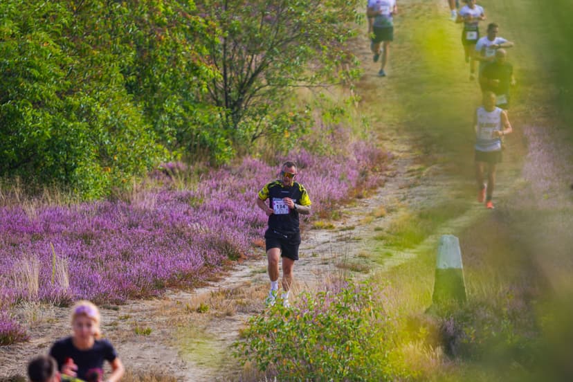Galeria zdjęć - I Wrzos.RUN 2026 - 29.08.2026 r.  349