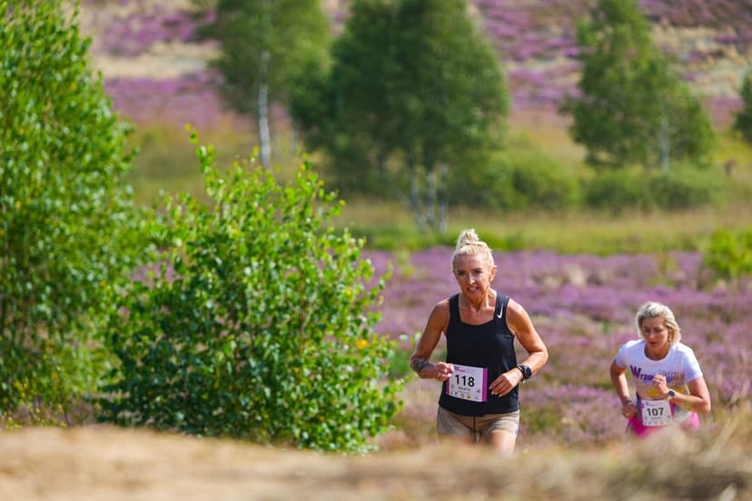Galeria zdjęć - I Wrzos.RUN 2026 - 29.08.2026 r.  231