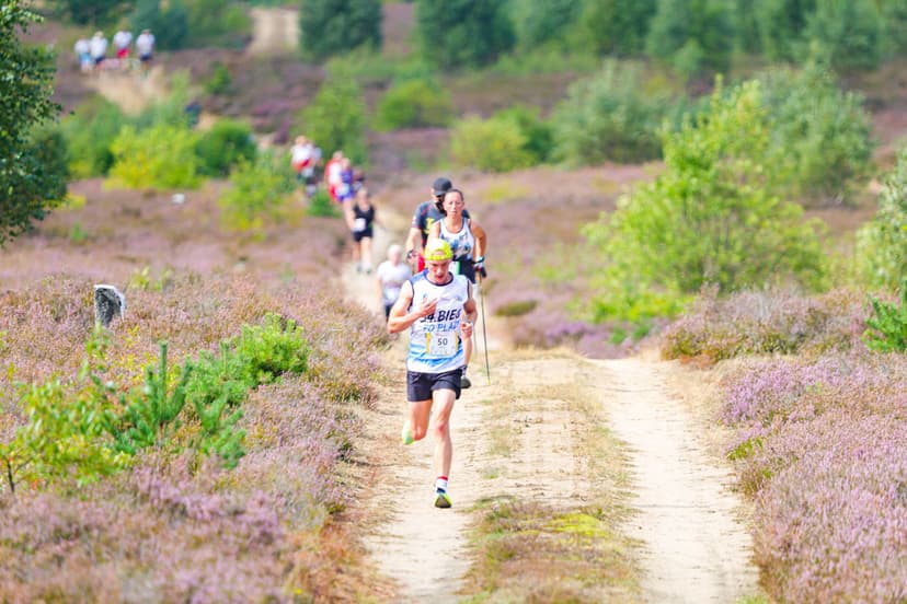 Galeria zdjęć - I Wrzos.RUN 2026 - 29.08.2026 r.  308