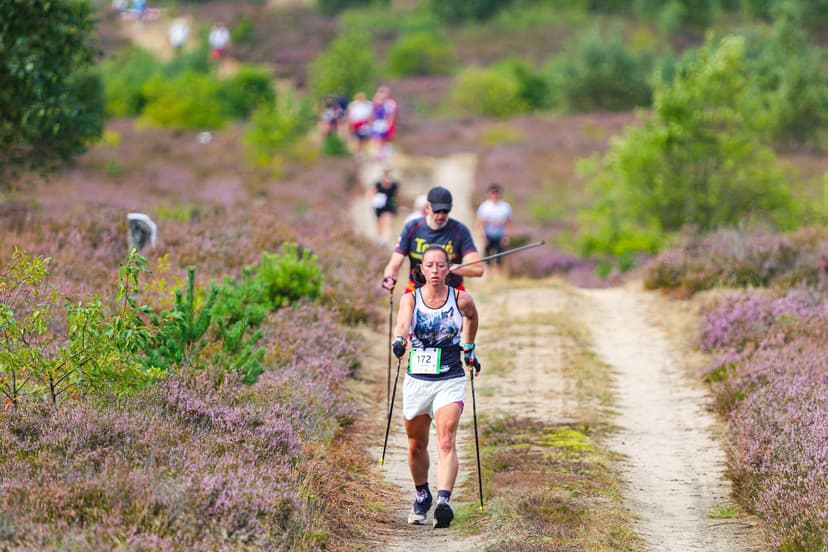 Galeria zdjęć - I Wrzos.RUN 2026 - 29.08.2026 r.  341