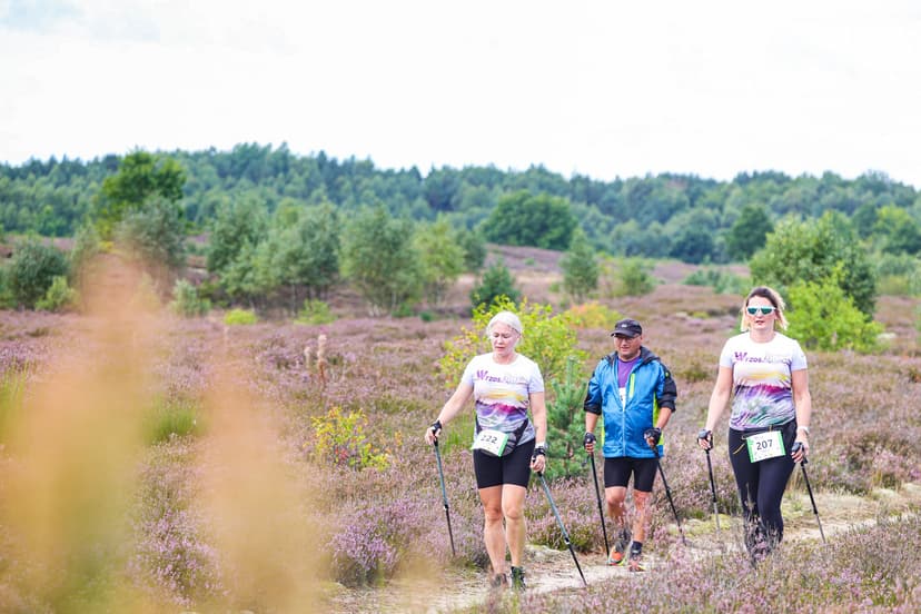 Galeria zdjęć - I Wrzos.RUN 2026 - 29.08.2026 r.  299