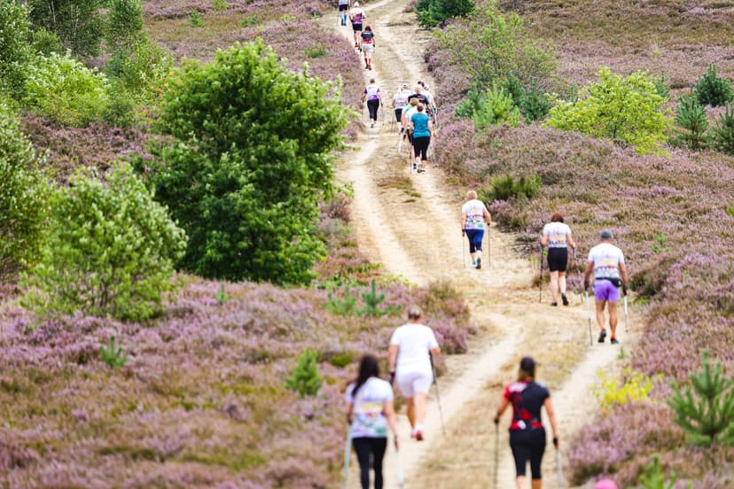 Galeria zdjęć - I Wrzos.RUN 2026 - 29.08.2026 r.  361