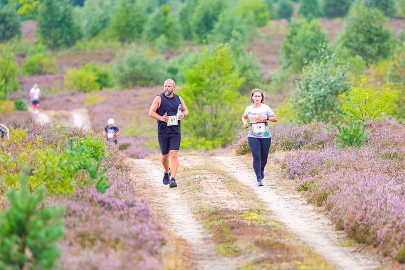 Galeria zdjęć - I Wrzos.RUN 2026 - 29.08.2026 r.  313