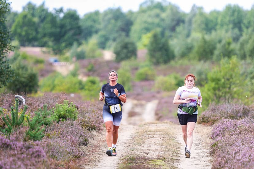 Galeria zdjęć - I Wrzos.RUN 2026 - 29.08.2026 r.  309